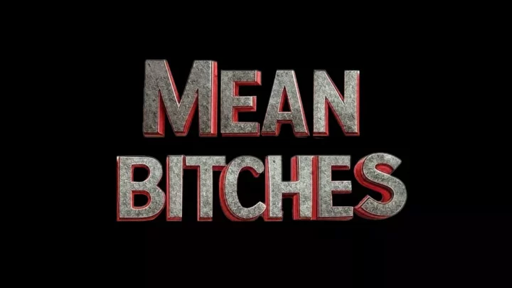 Mean Bitches